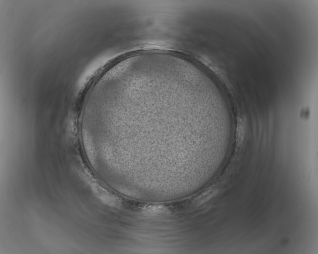 X0000116491454200912231141