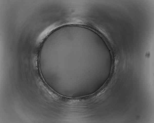 X0000116491455200912231141