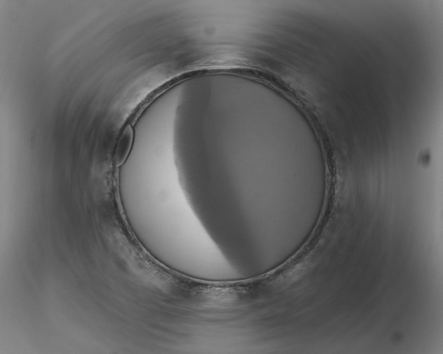 X0000116491457200912231141