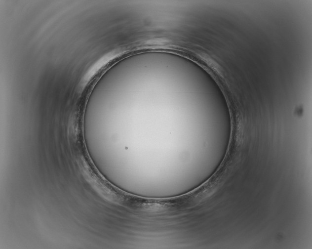 X0000116491458200912231141