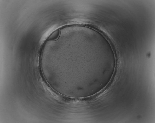 X0000116491459200912231141