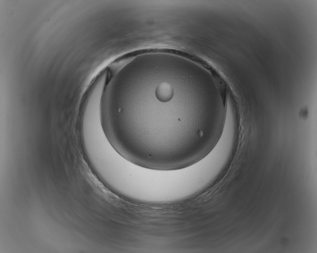 X0000116491460200912231141