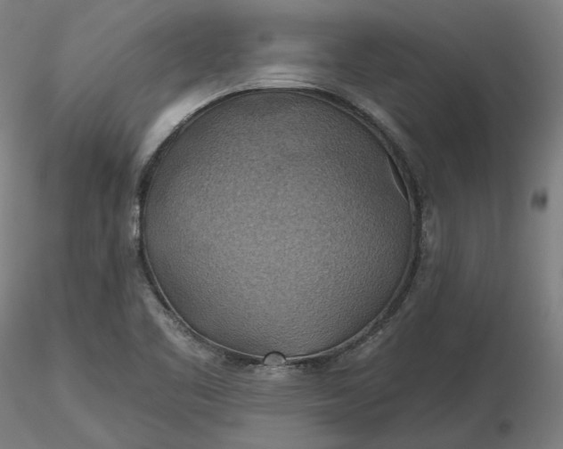 X0000116491461200912231141