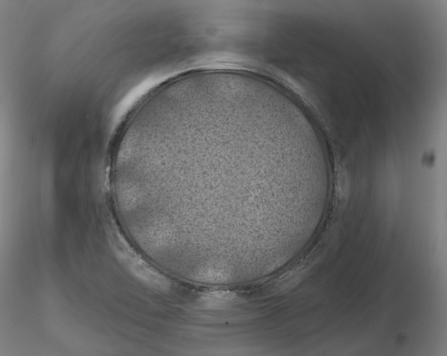 X0000116491462200912231141