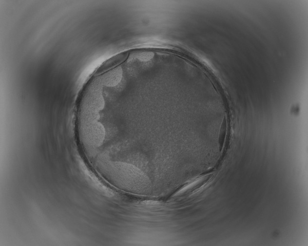 X0000116491463200912231141