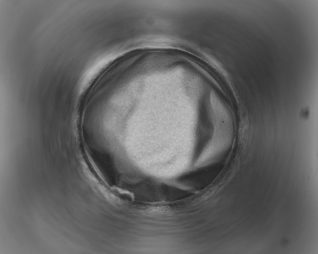 X0000116491464200912231141