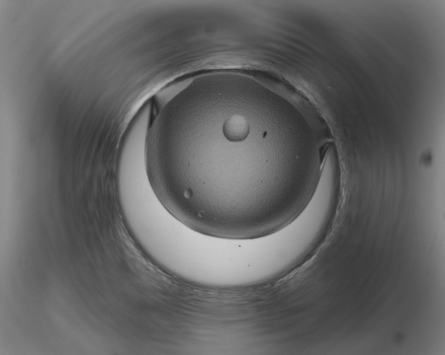 X0000116491465200912231141