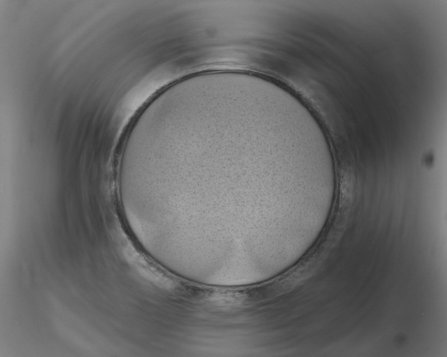 X0000116491466200912231141