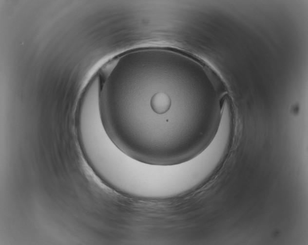 X0000116491468200912231141