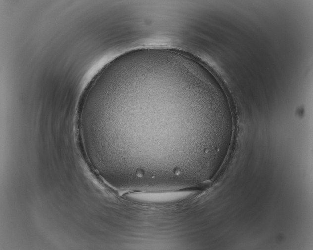 X0000116491469200912231141