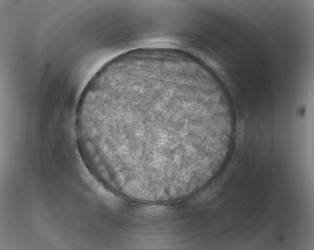 X0000116491470200912231141