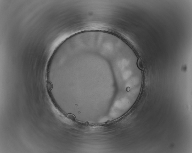 X0000116491471200912231141