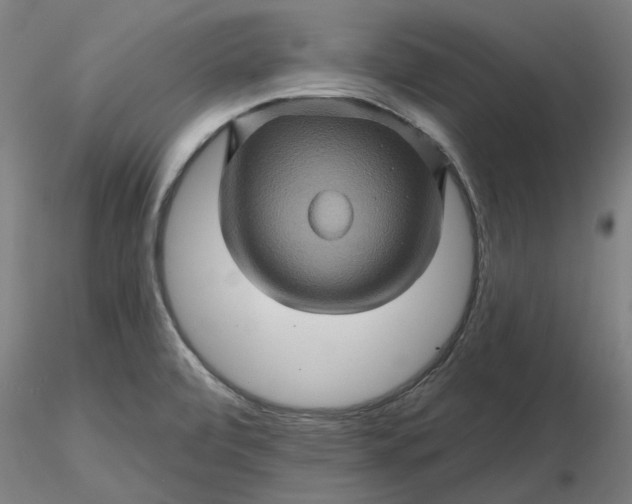 X0000116491472200912231141