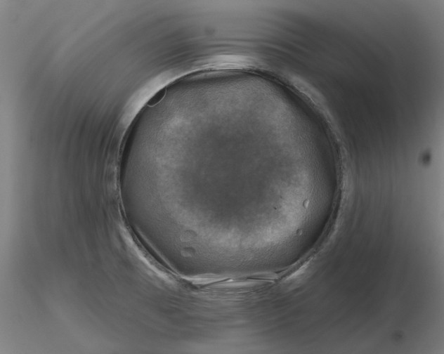 X0000116491473200912231141