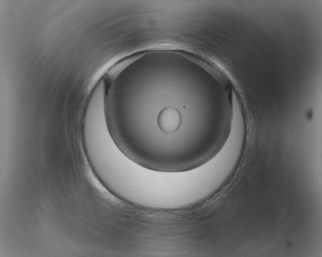 X0000116491476200912231141