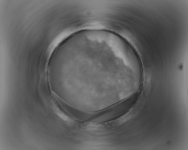 X0000116491477200912231141