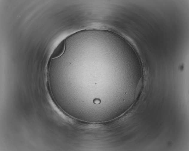 X0000116491479200912231141