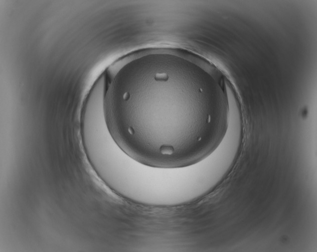 X0000116491480200912231141