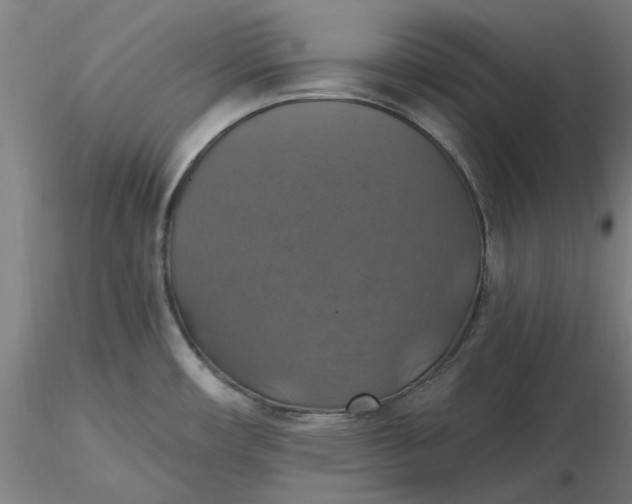 X0000116491482200912231141