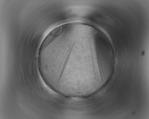 X0000116491483200912231141