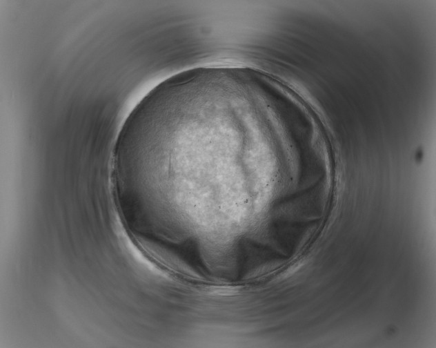 X0000116491484200912231141