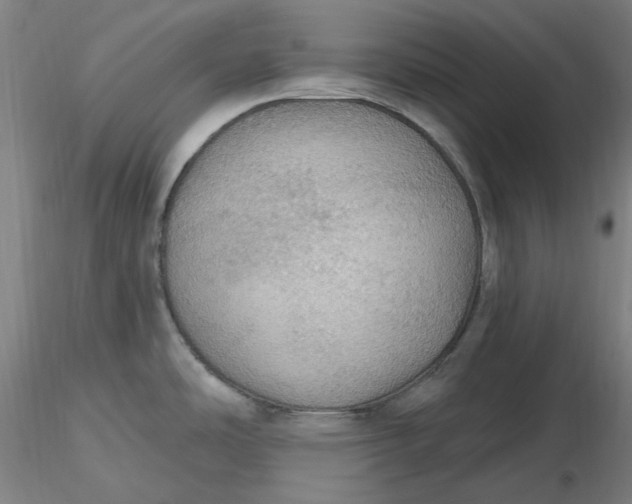 X0000116491486200912231141