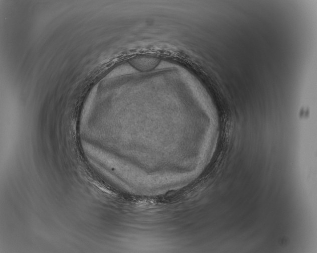 X0000116491489200912231140