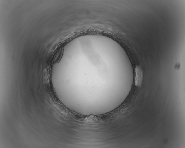 X0000116491491200912231140