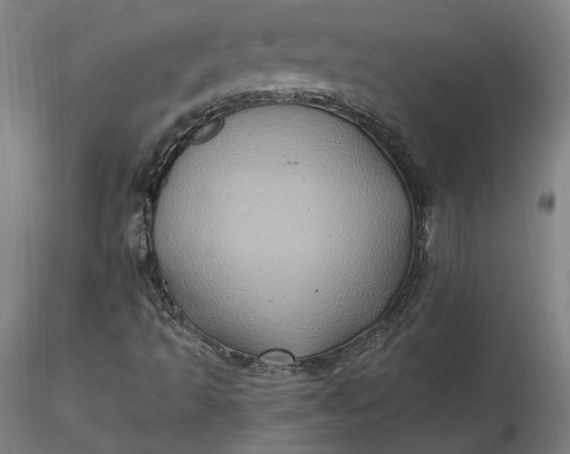 X0000116491493200912231140