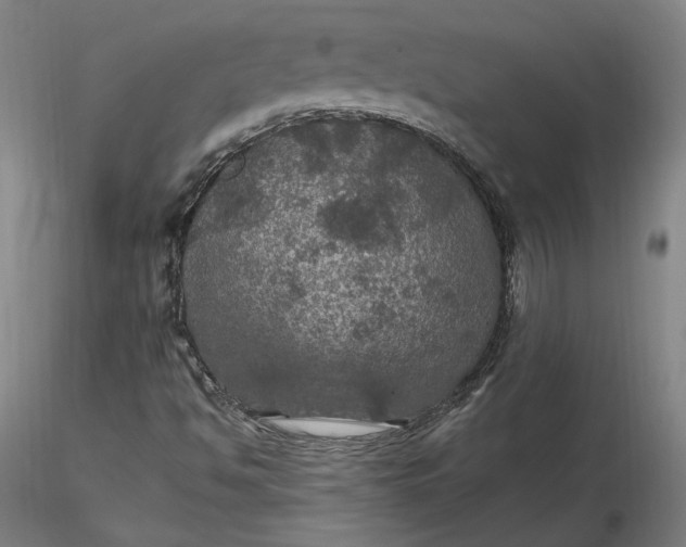 X0000116491494200912231140