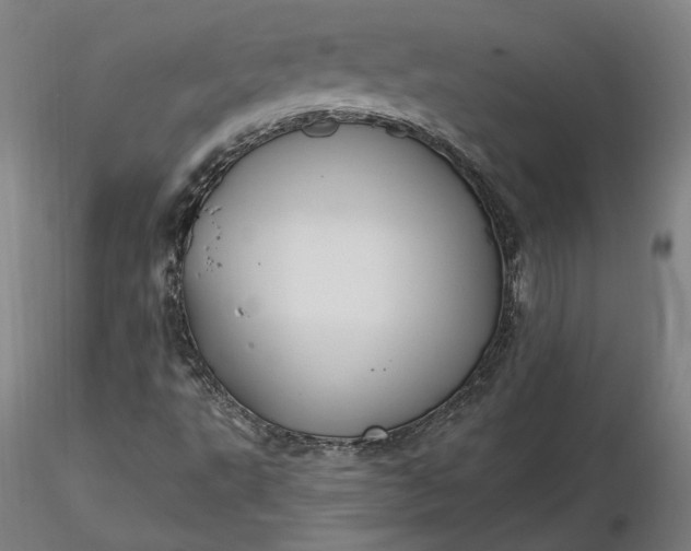 X0000116491495200912231140