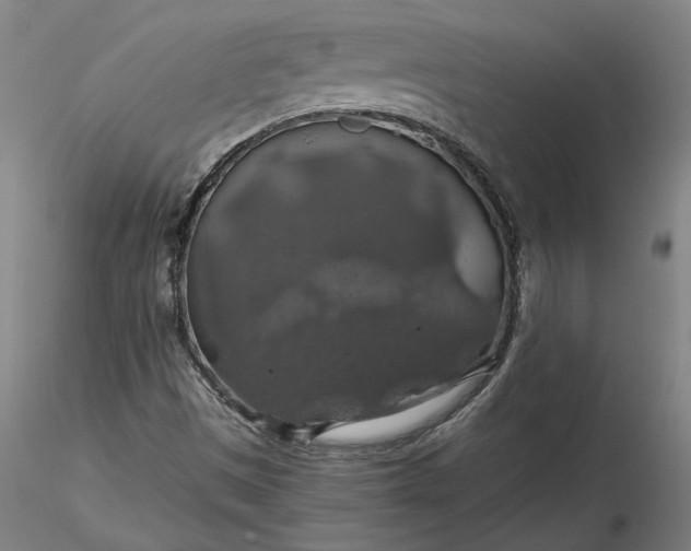 X0000116491497200912231140