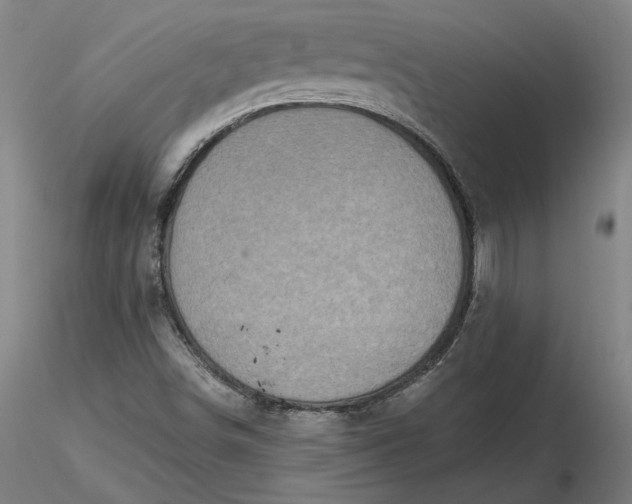 X0000116491498200912231140