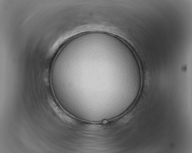 X0000116491499200912231140