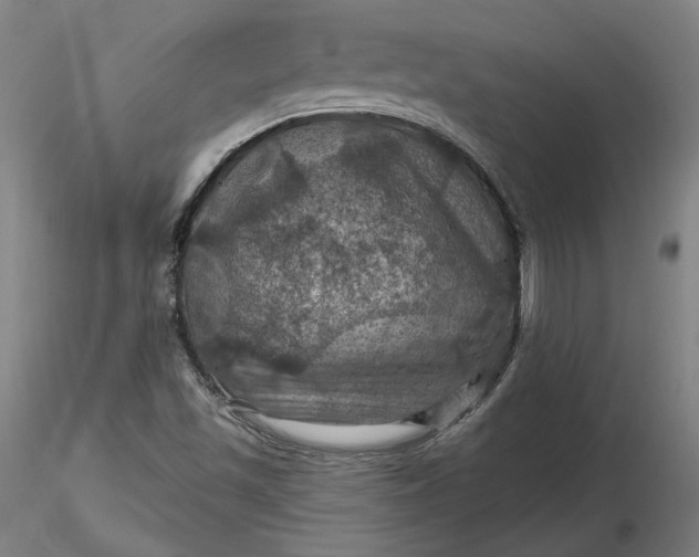 X0000116491501200912231140