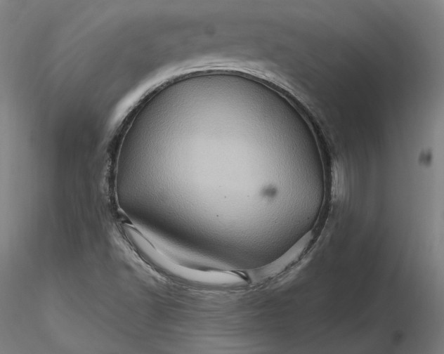 X0000116491502200912231140