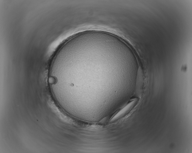 X0000116491503200912231140