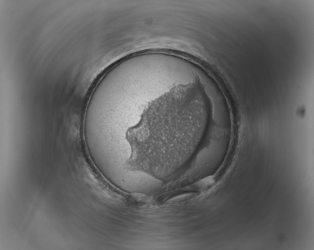 X0000116491505200912231140