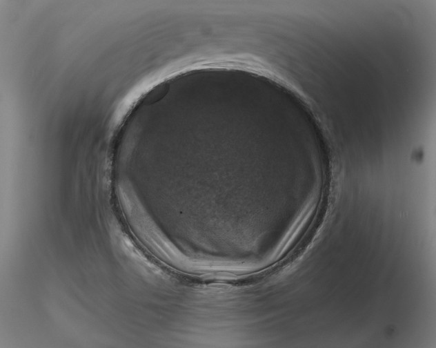 X0000116491506200912231140