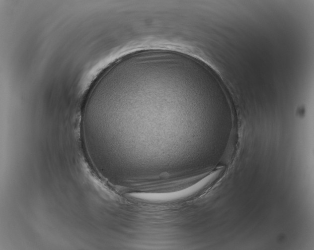 X0000116491507200912231140