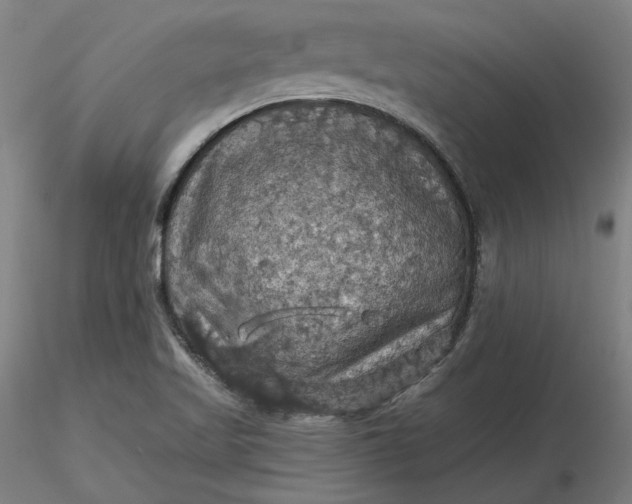 X0000116491509200912231140