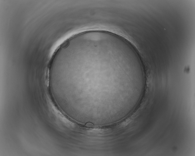 X0000116491510200912231140