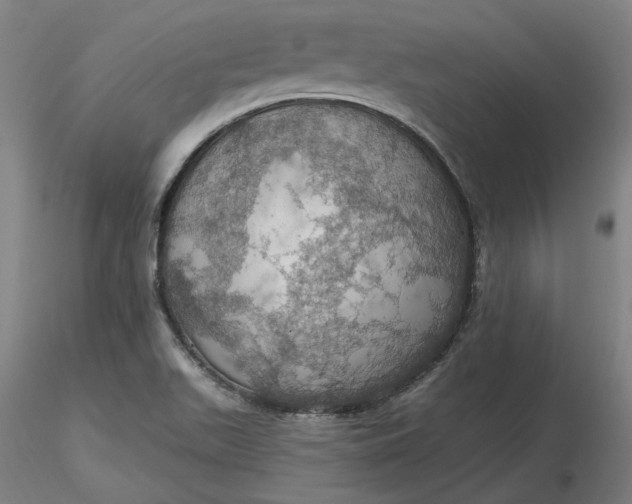 X0000116491511200912231140