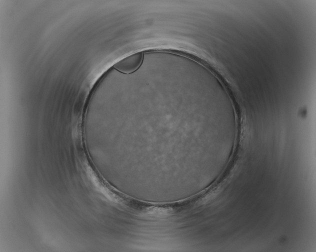 X0000116491513200912231140