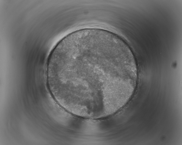 X0000116491514200912231141