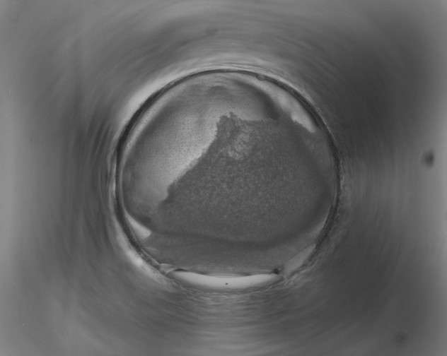 X0000116491515200912231141