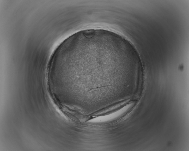 X0000116491517200912231141