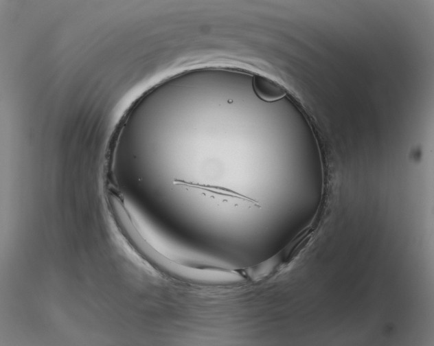 X0000116491518200912231141