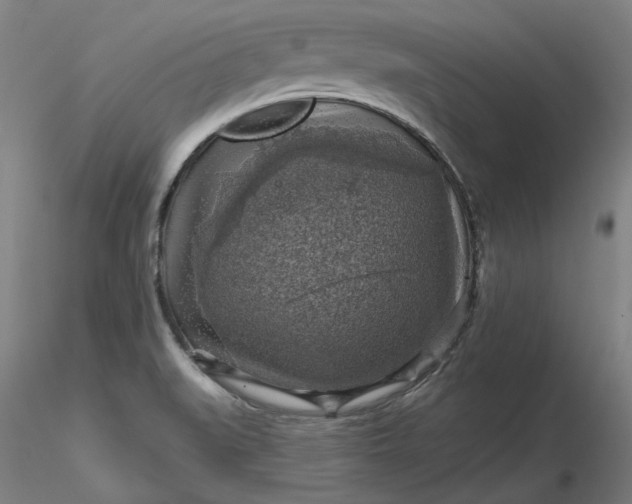 X0000116491519200912231141