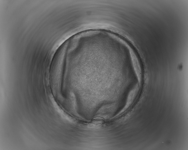 X0000116491521200912231141